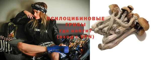 гашиш Коряжма