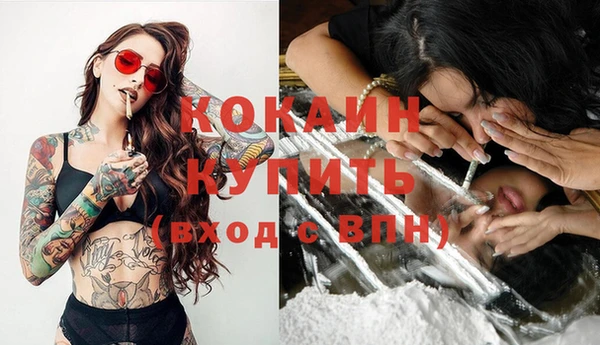 PSILOCYBIN Козельск