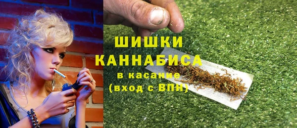 PSILOCYBIN Козельск
