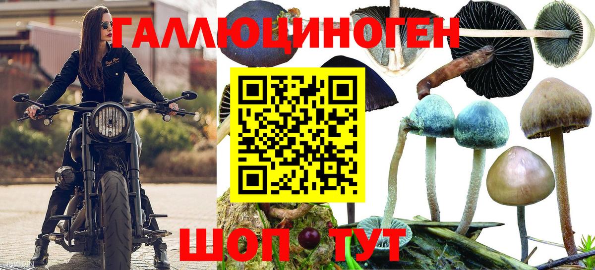 Красноуфимск  Галлюциногенные грибы GOLDEN TEACHER  Вход с VPN 