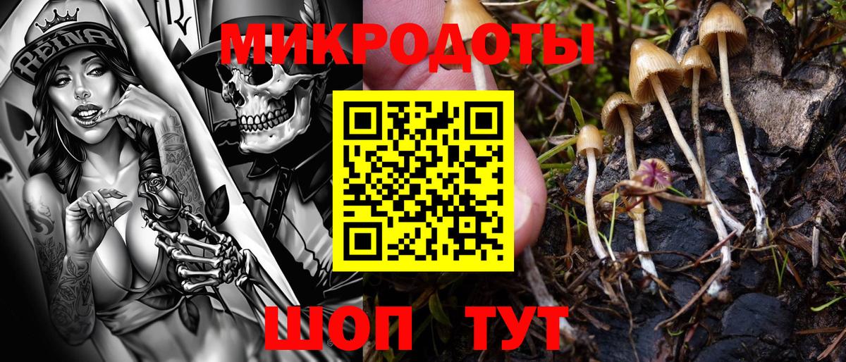 Псилоцибиновые грибы GOLDEN TEACHER Красноуфимск